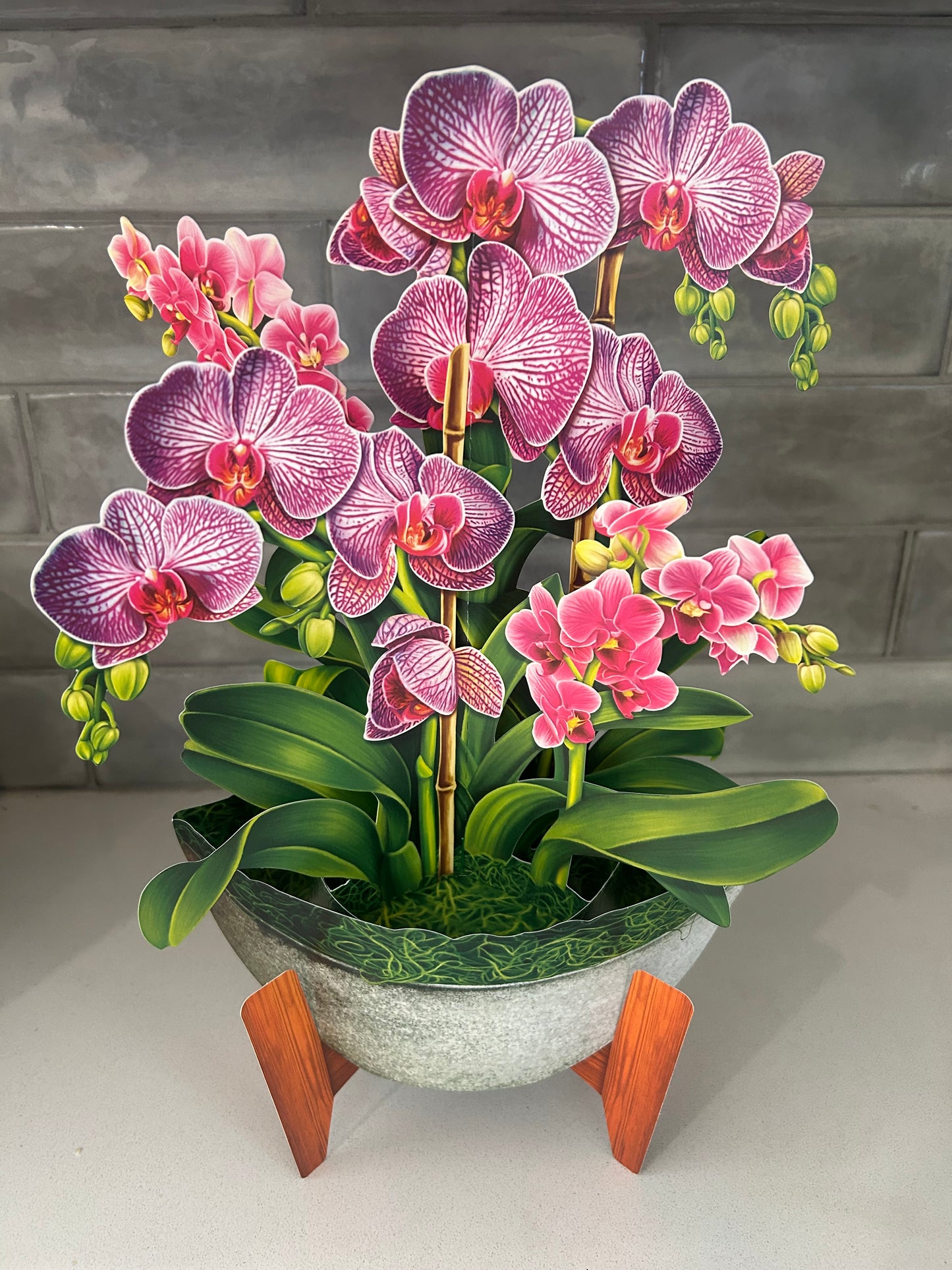 Pop-Up Greeting Card