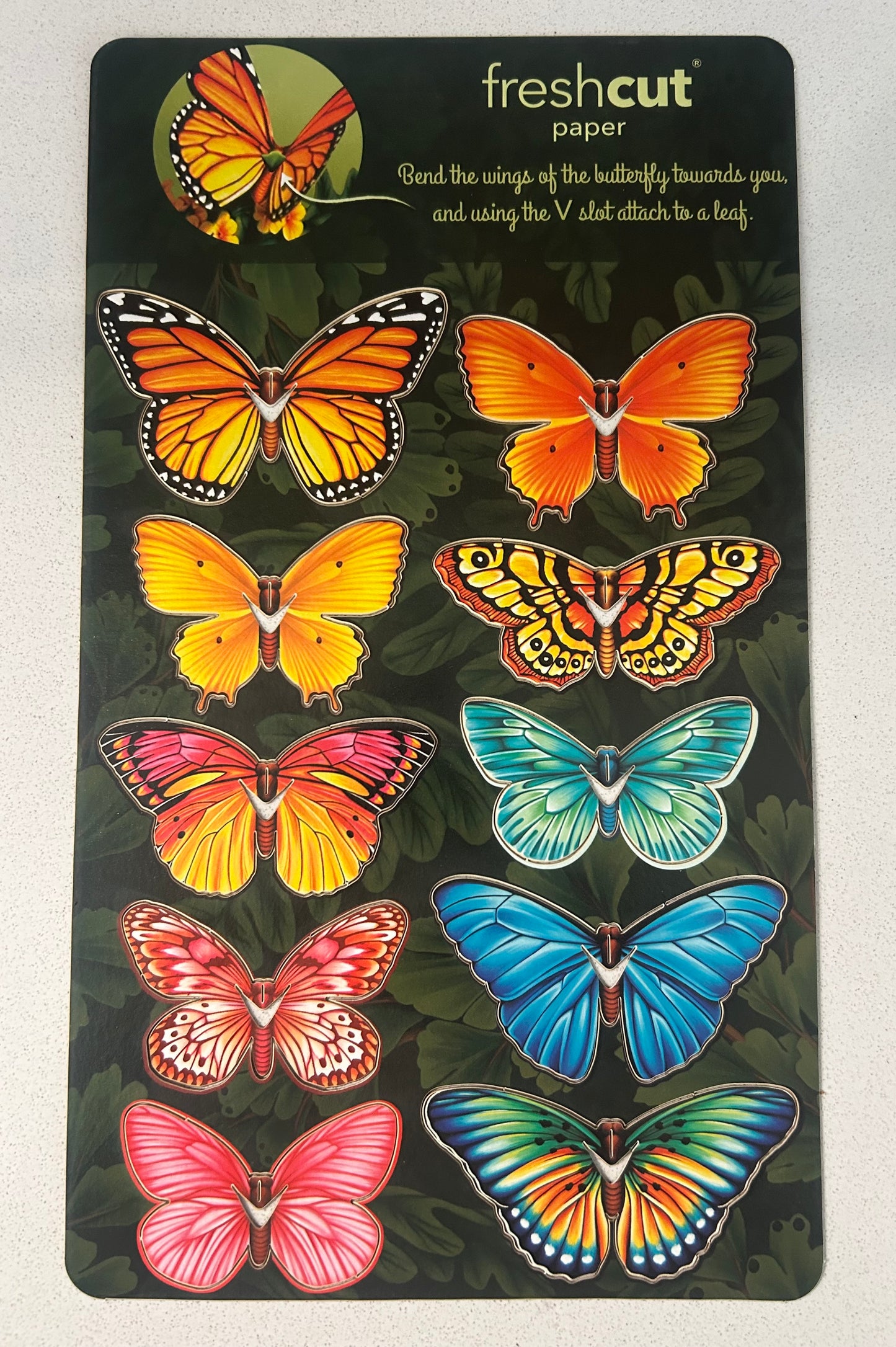 Pop-Up Greeting Card